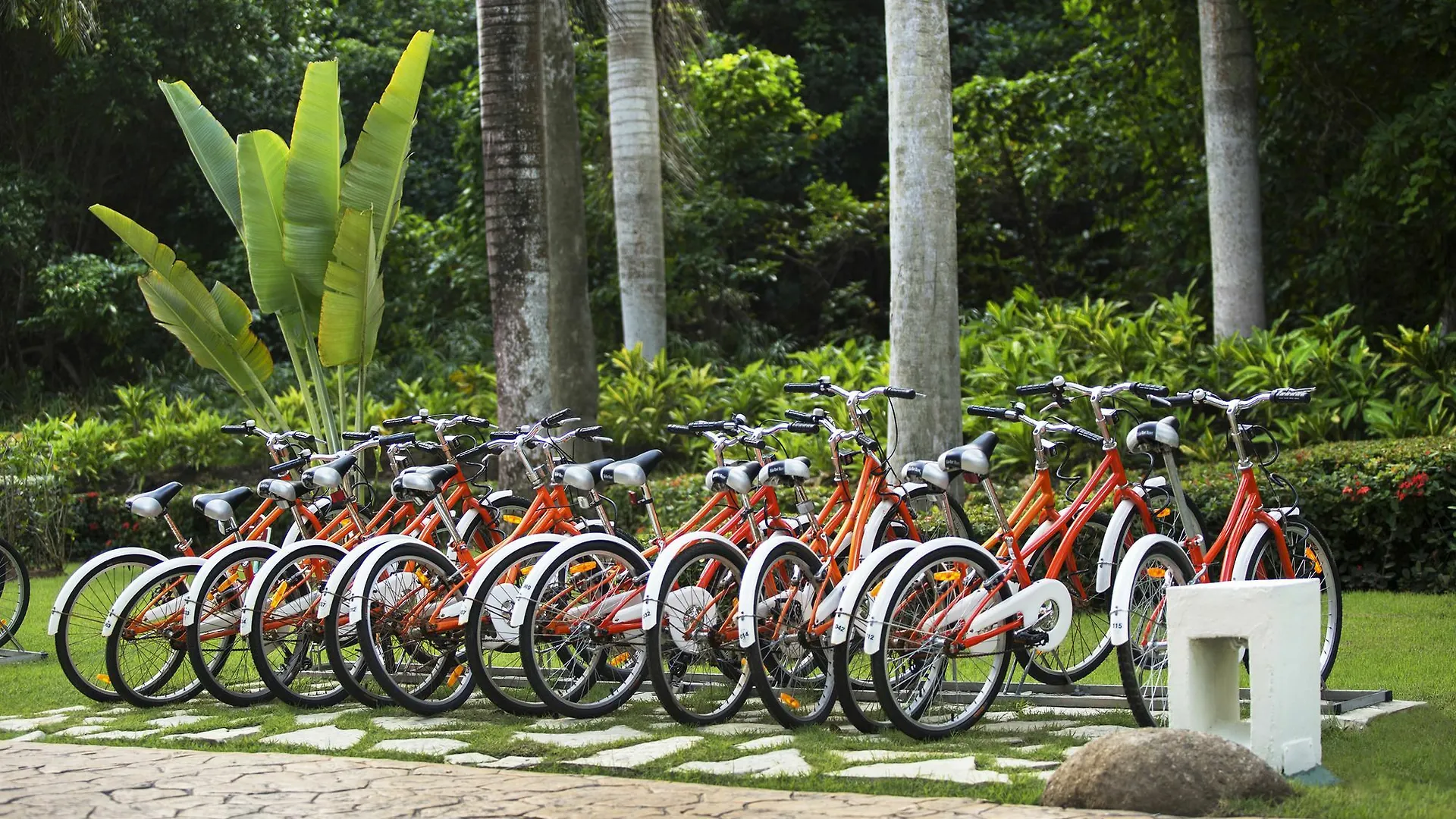 Royal Service At Paradisus Punta Cana (Adults Only) Bávaro